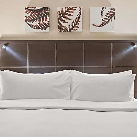 Hotel Hilton An Der Frauenkirche Dresden