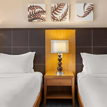 Hilton An Der Frauenkirche Hotel 4*