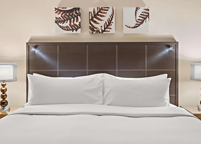 Hotel Hilton An Der Frauenkirche Dresde